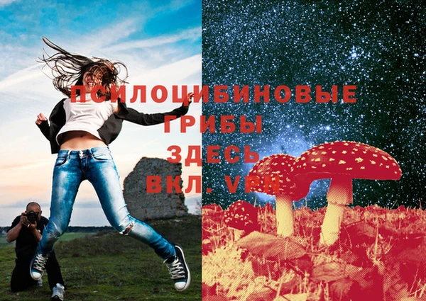 бошки Аркадак