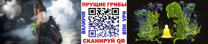 Купить где  Муравленко  Галлюциногенные грибы GOLDEN TEACHER 
